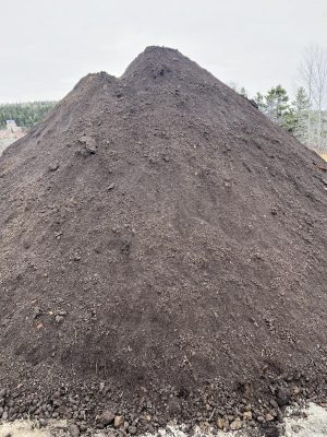 484874554_641874285264793_7571592912723120321_n